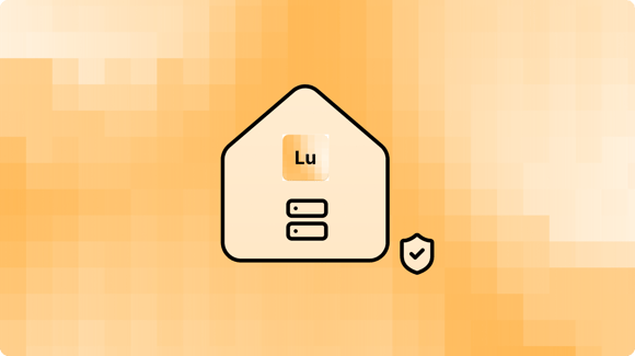 Private Lumina server inside your infrastructure