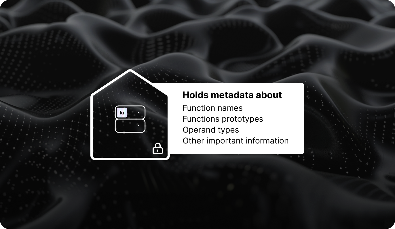 Diagram showing a house icon with ‘lu’ on a server inside and text ‘Holds metadata about’ listing function names, prototypes, operand types, and important information. The accompanying text describes the Lumina server’s role in tracking metadata.