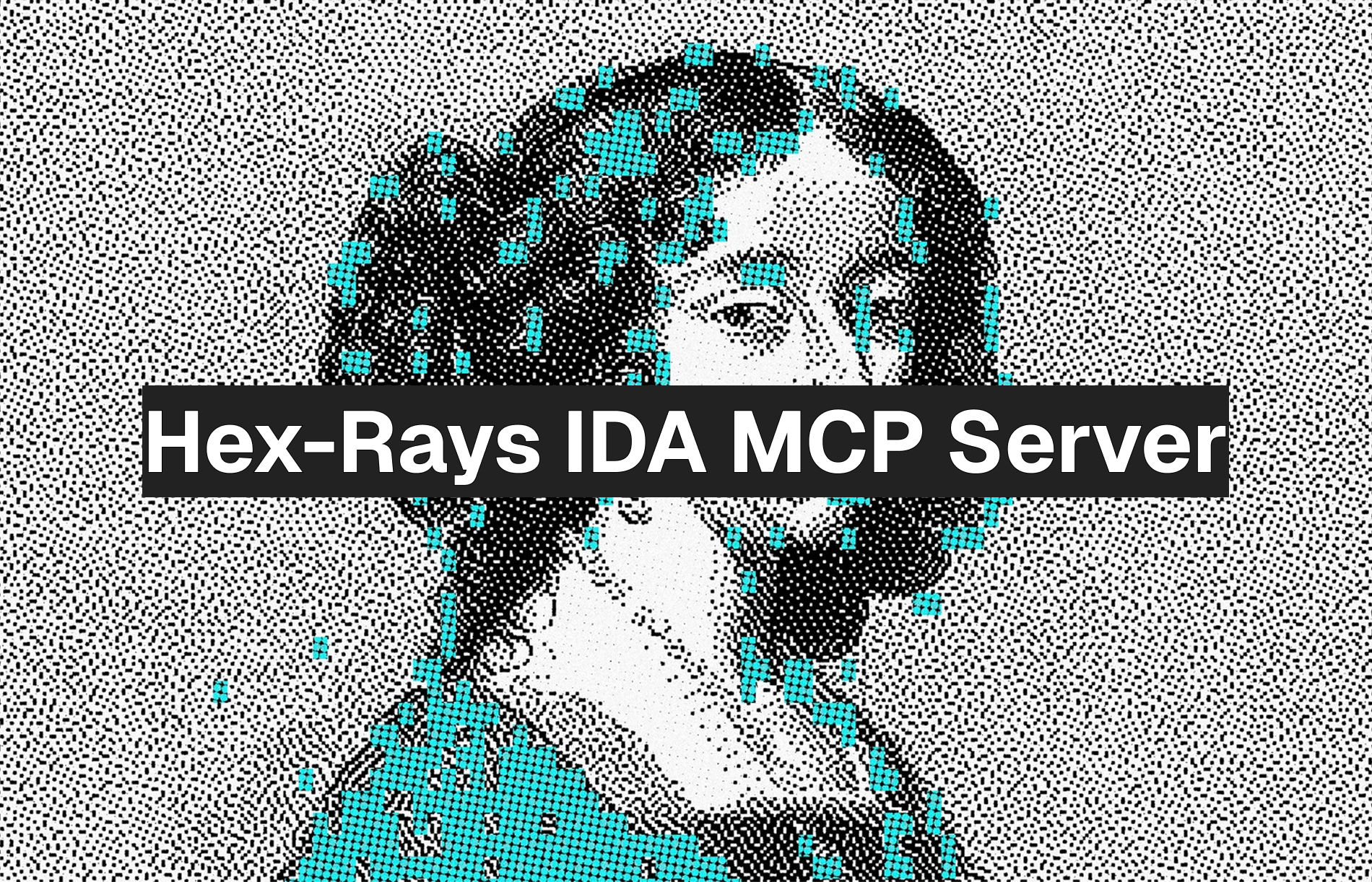 Hex-Rays IDA MCP Server