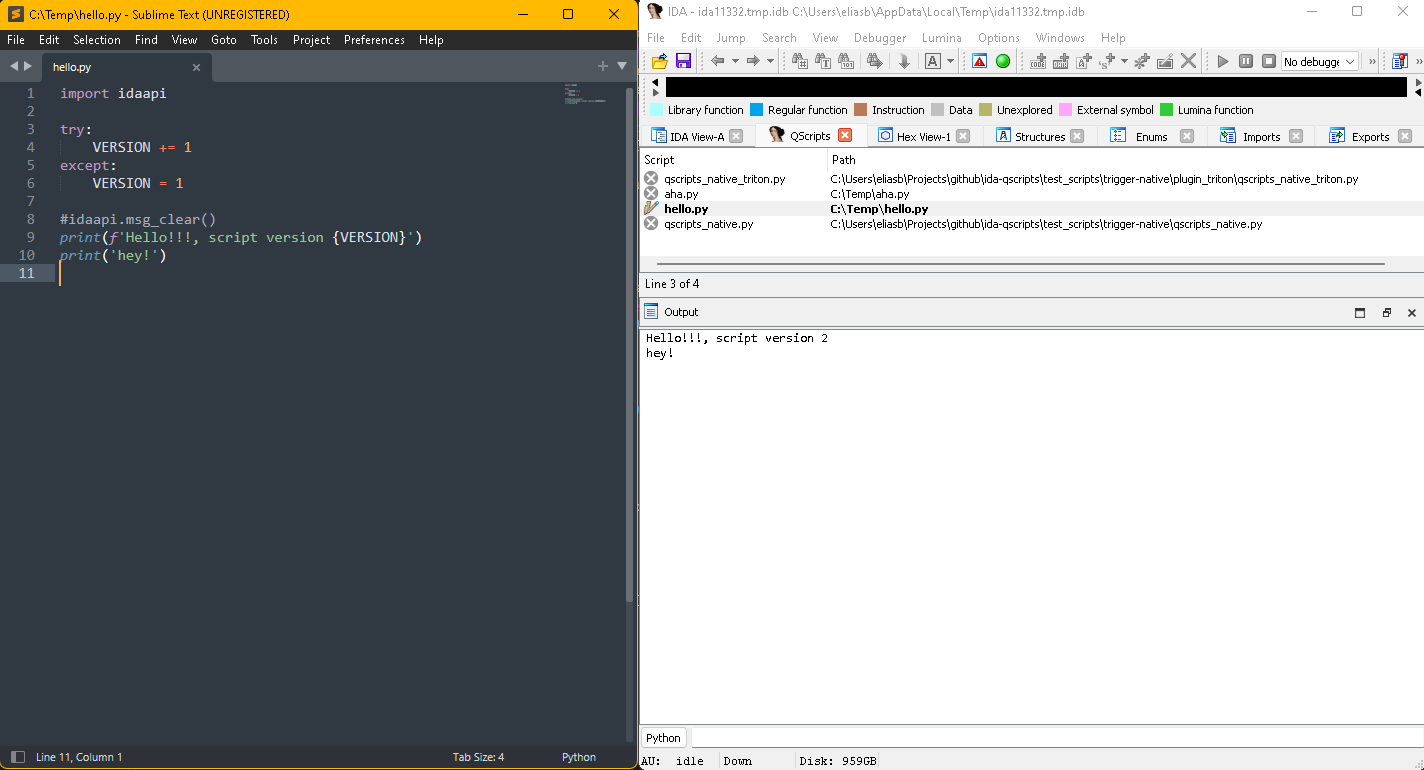 IDA and Sublime Text editor side by side